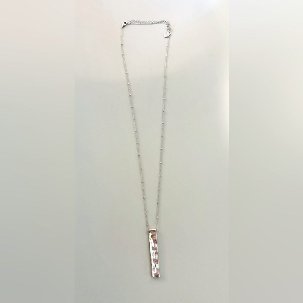 Plunder silver long necklace